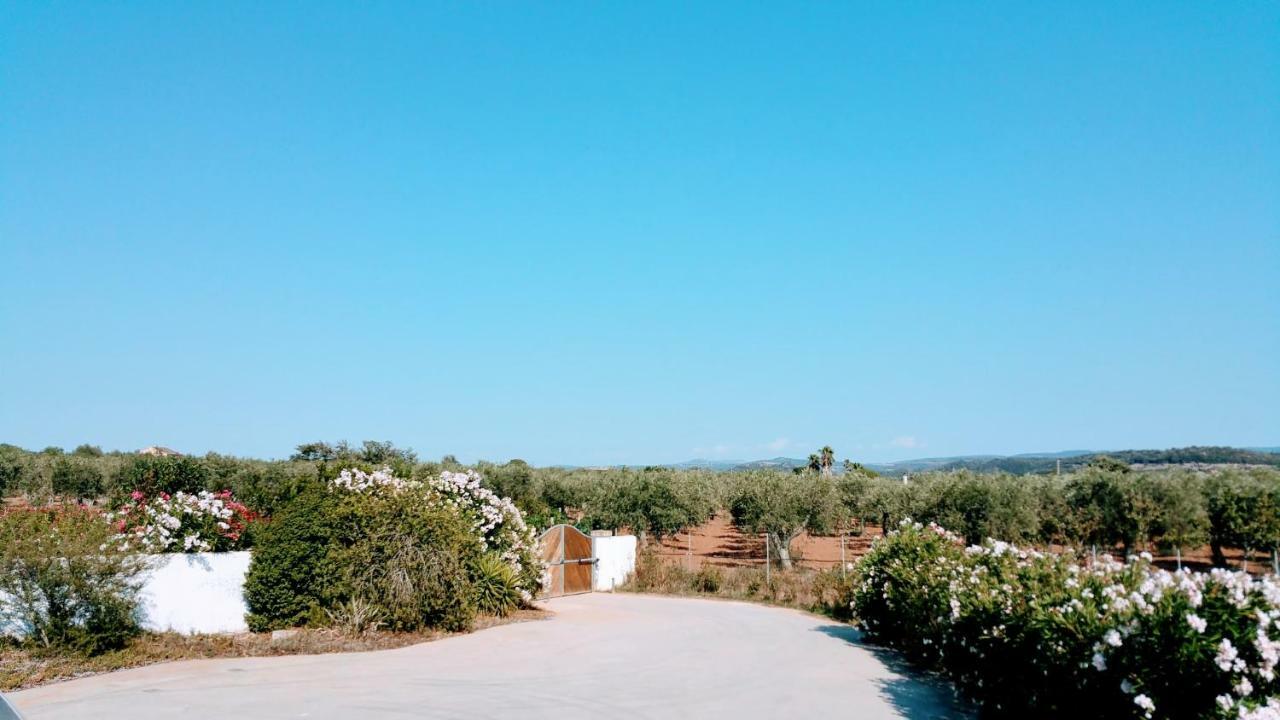 Villa Rafael Con Piscina, Iun P4098 Alghero Buitenkant foto
